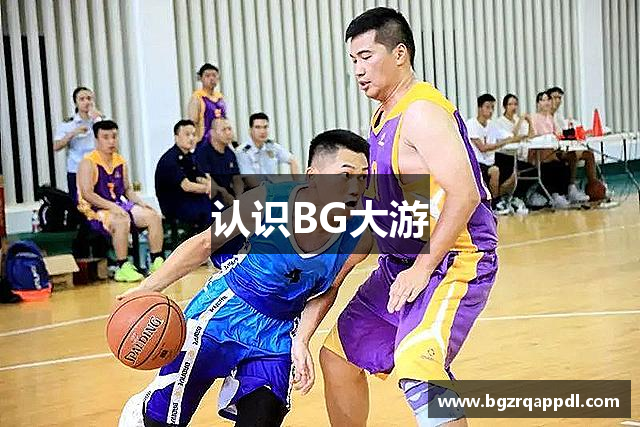 认识BG大游
